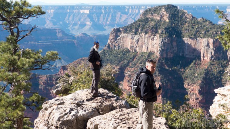 Checking out the view off the Transept trail North rim Grand Canyon