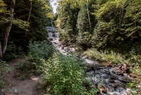 Grand Marais - Sable Falls-Log Slide-15