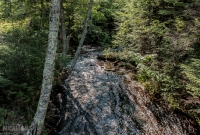 Grand Marais - Sable Falls-Log Slide-2