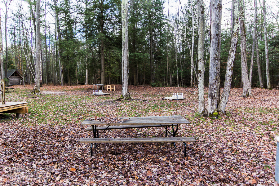 Hop Lot Brewing in Suttons Bay - Grand Traverse Bay Beer Tour - Grand Traverse Bay Beer Tour