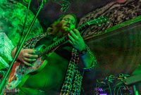 Gregory-Stovetop-Rumpus-Room-2025-9