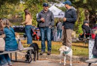 GrowlerBrewFest-2023-112