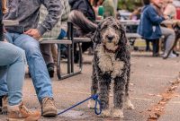 GrowlerBrewFest-2023-70