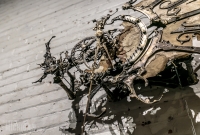 Growth and Decay - Eric Freitas - 2016-28