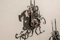 Growth and Decay - Eric Freitas - 2016-37