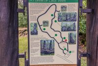 Hawaii-BigIsland-Hilo-1