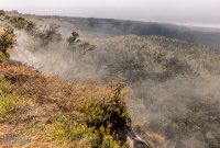 Hawaii-BigIsland-Hilo-22