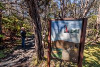 Hawaii-BigIsland-Hilo-24