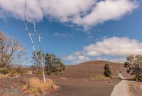 Hawaii-BigIsland-Hilo-27