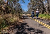 Hawaii-BigIsland-Hilo-28