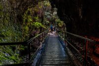 Hawaii-BigIsland-Hilo-35