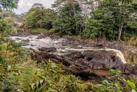 Hawaii-BigIsland-Hilo-49