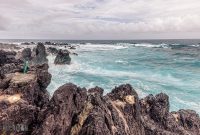 Hawaii-BigIsland-Hilo-70