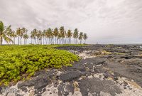 Hawaii-BigIsland-Kona-10