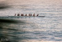 Hawaii-BigIsland-Kona-17
