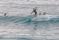 Hawaii-BigIsland-Kona-18
