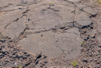 Hawaii-BigIsland-Kona-23