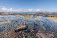 Hawaii-BigIsland-Kona-24