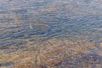 Hawaii-BigIsland-Kona-26