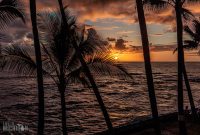 Hawaii-BigIsland-Kona-33