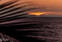 Hawaii-BigIsland-Kona-35