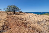 Hawaii-BigIsland-Kona-37