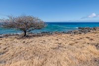 Hawaii-BigIsland-Kona-45