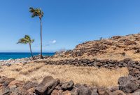 Hawaii-BigIsland-Kona-46