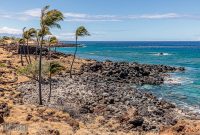 Hawaii-BigIsland-Kona-47