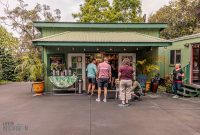 Hawaii-BigIsland-Kona-52