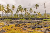 Hawaii-BigIsland-Kona-8