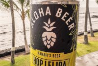 Hawaii-BigIsland-Kona-85