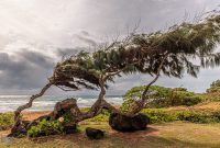 Hawaii-Kauai-Week2-2024-1