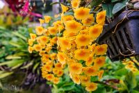 Hawaii-Kauai-Week2-2024-129