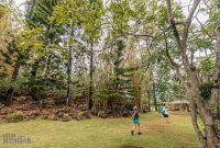 Hawaii-Kauai-Week2-2024-75