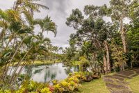 Hawaii-Kauai-Week2-2024-83