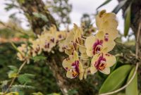 Hawaii-Kauai-Week2-2024-89