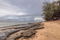 Hawaii-Kauai-Week2-2024-9