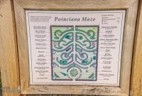 Hawaii-Kauai-Week2-2024-90