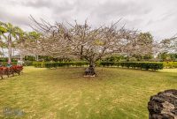 Hawaii-Kauai-Week2-2024-91