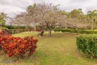 Hawaii-Kauai-Week2-2024-93