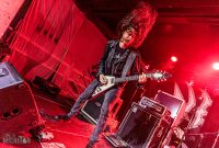 Hedonist-Elevation-2025-11