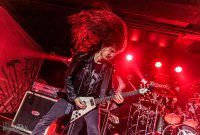 Hedonist-Elevation-2025-12