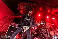 Hedonist-Elevation-2025-13