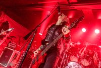 Hedonist-Elevation-2025-2