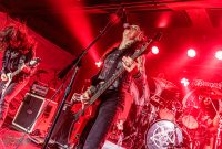 Hedonist-Elevation-2025-6