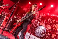 Hedonist-Elevation-2025-7