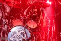 Hedonist-Elevation-2025-8