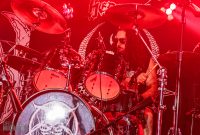 Hedonist-Elevation-2025-9