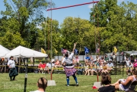 Highland Games - Livonia - 2015-1